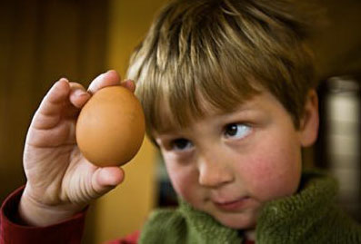 boy-looking-at-egg
