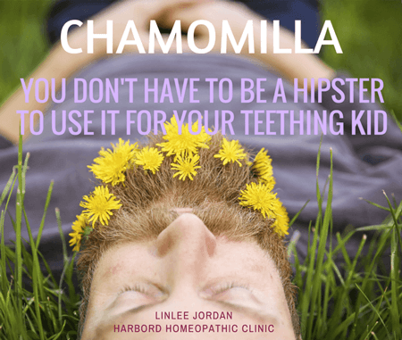 chamomila-hipster