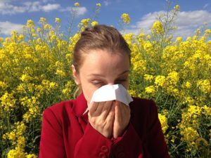 allergies, hay fever and bronchitis relieved with homeopathy