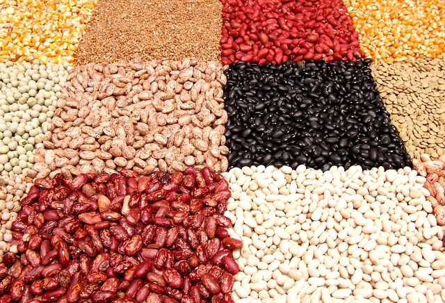 getting enough protein in a vegetarian diet - legumes