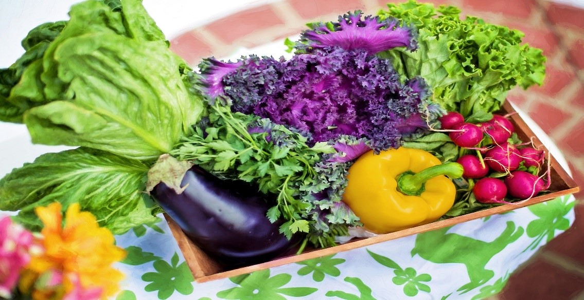 vegetable rainbow | Harbord Homeopathic Clinic