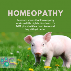 Homeopathy works on piglets