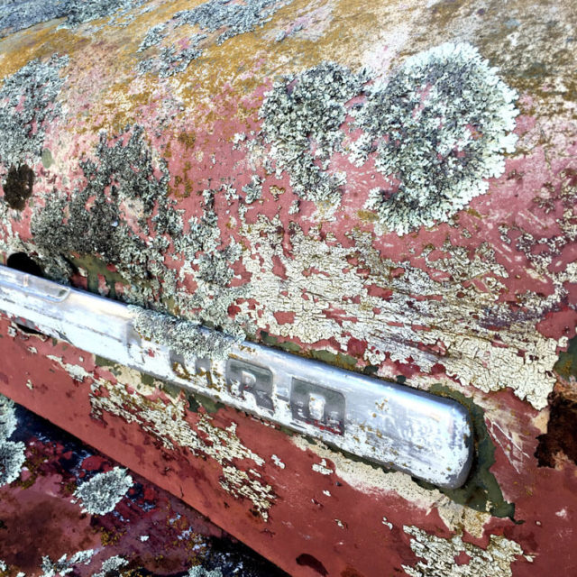 Sulphur homeopathic uses include eg the appreciation of Lichen on old cars