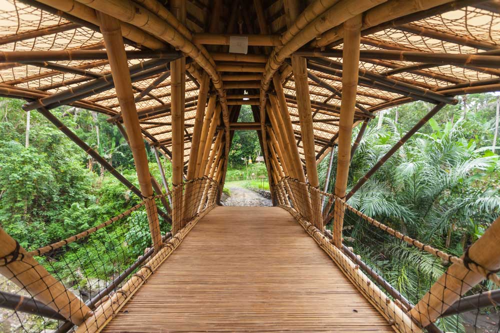 Green School bamboo bridge